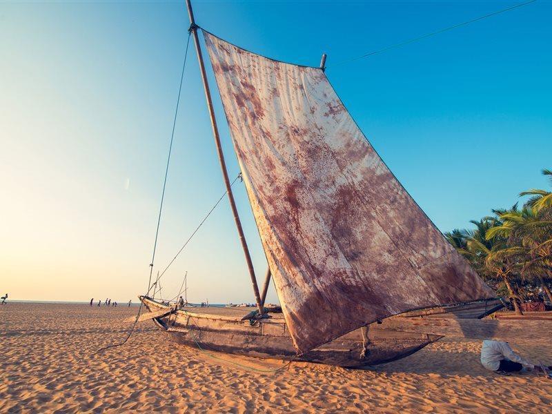 Hotel Pledge 3 Negombo Exteriér fotografie